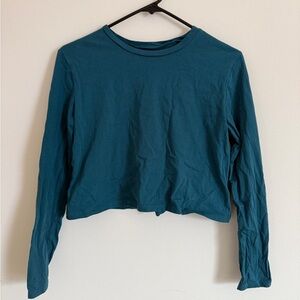 Wild fable cropped long sleeve